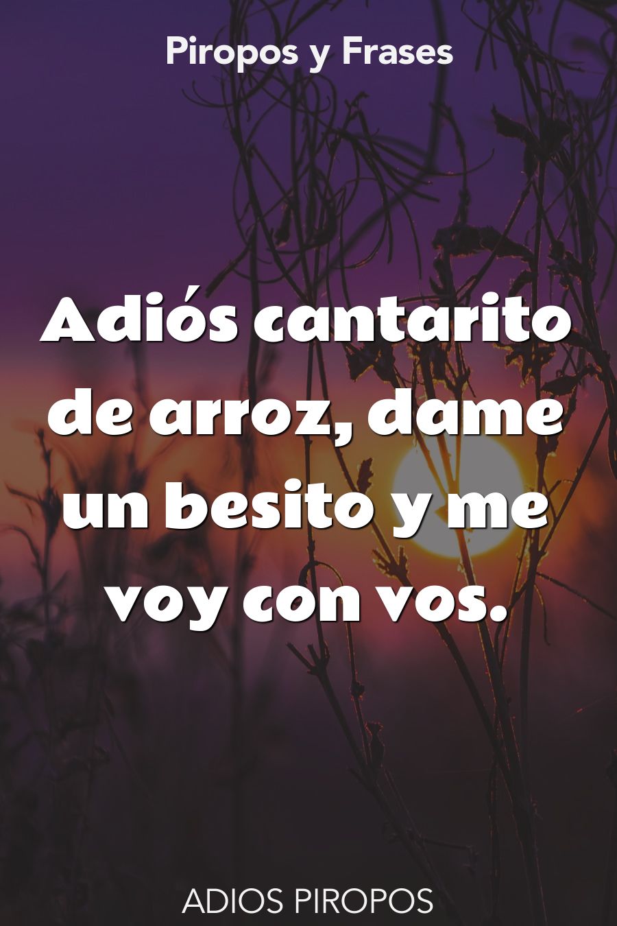 adios frases de amor