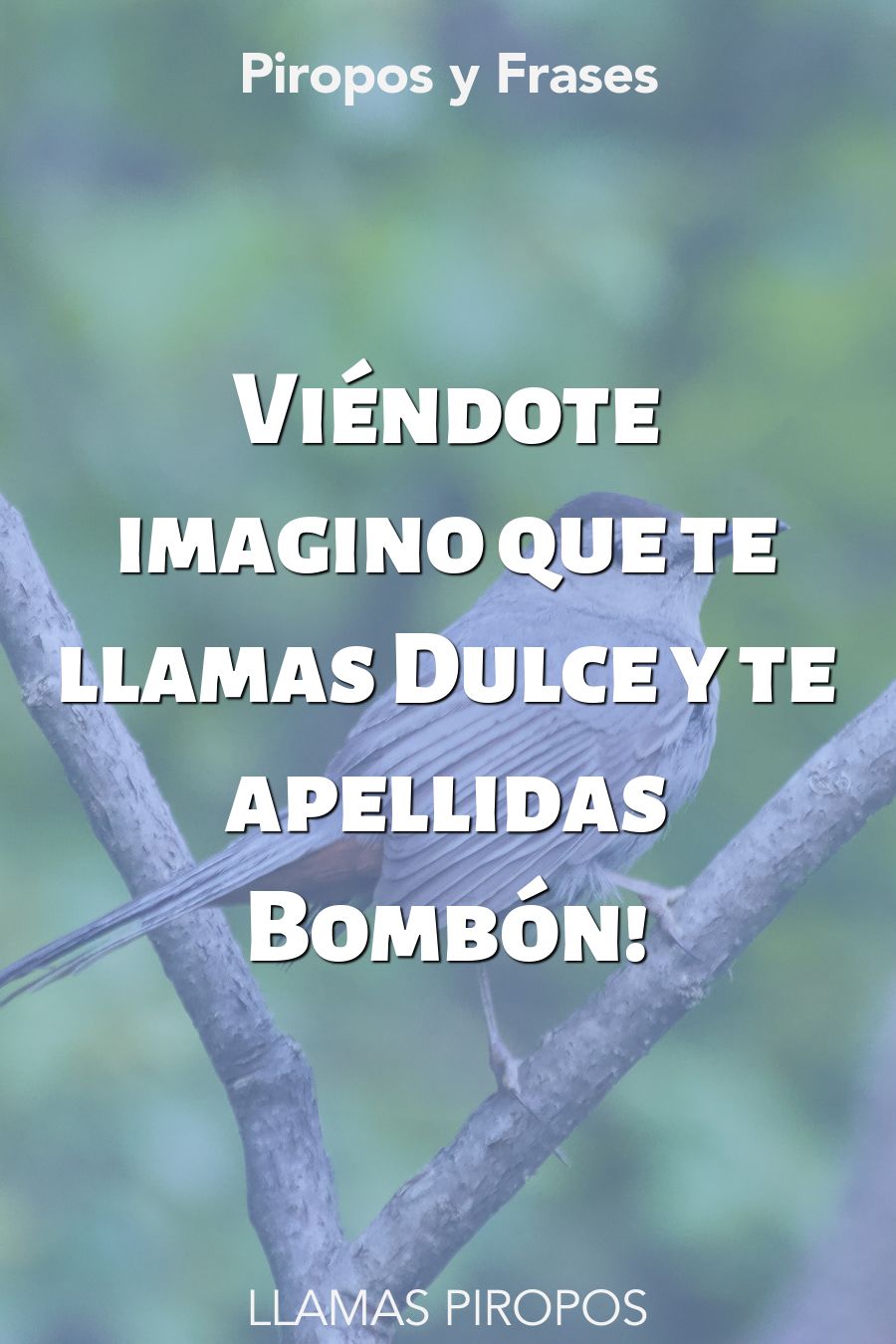 piropos llamas para hombres