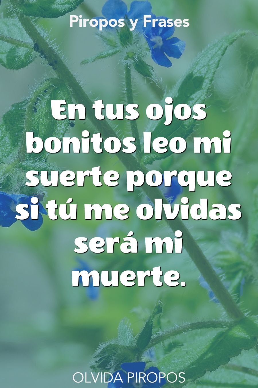 piropos olvida bonitos para ligar
